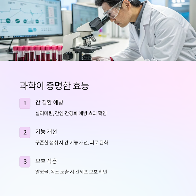 실리마린