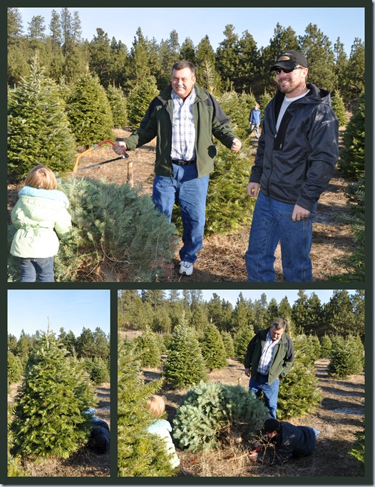 Christmas 2011