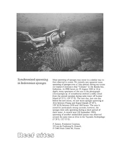 Sebuah dokumentasi riset Jacques Yves Cousteau di Banda Neira, spot antara Pulau Pisang, Sjahrir dan Pulau Neira, tanggal 29 Agustus 1989