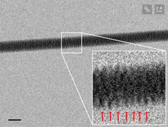 DNA was Photographed for the first Time - 27 Science Fictions That Became Science Facts in 2012