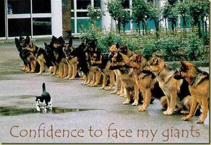 cat having courage-1