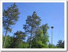 Pequot Lakes 028