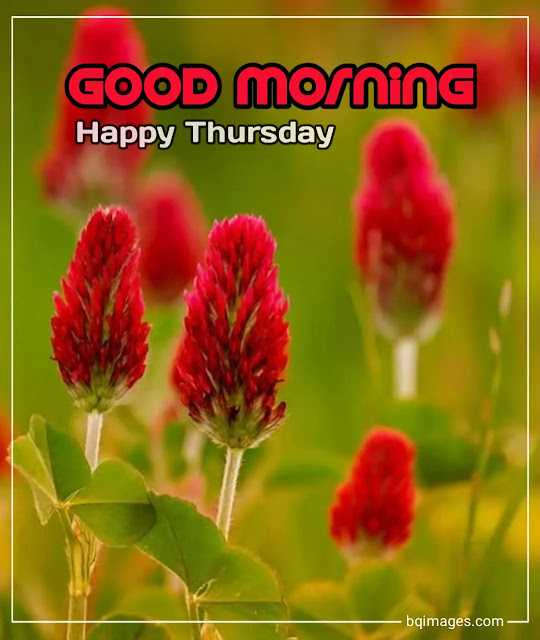 thursday blessings images