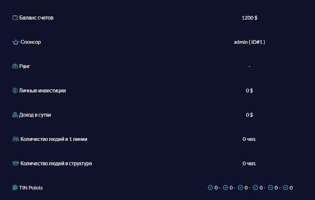 Бонусы и ранги в инвестиционном проекте Тин Трейд