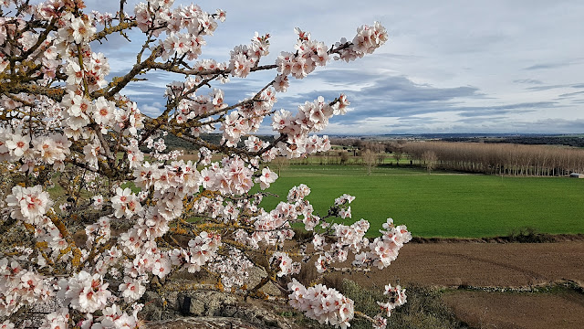 Juzbado, primavera, Juzbado libro abierto del paisaje