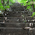 Wallpapers de estradas [roads]