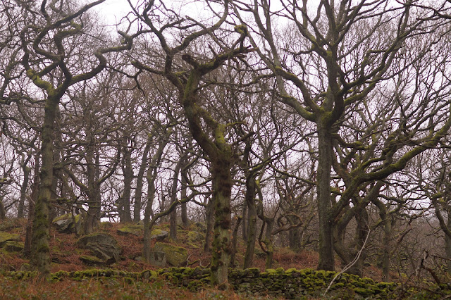 walk to cutthroat bridge