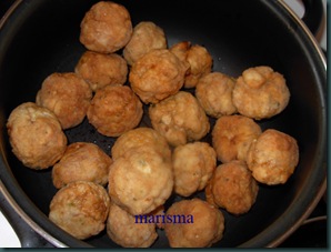 albóndigas de pollo fritas, (5)