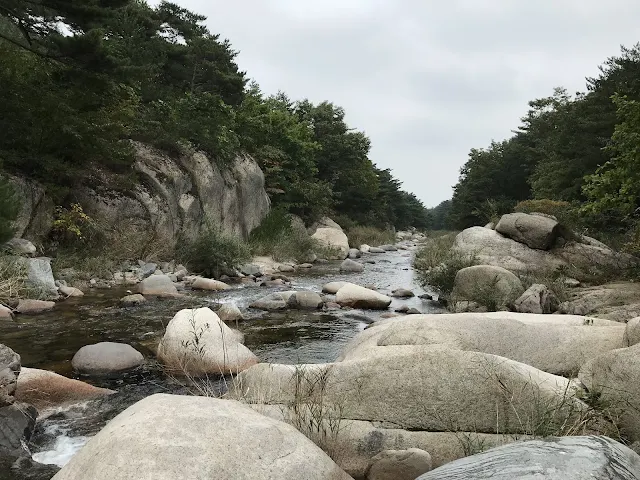 Stream