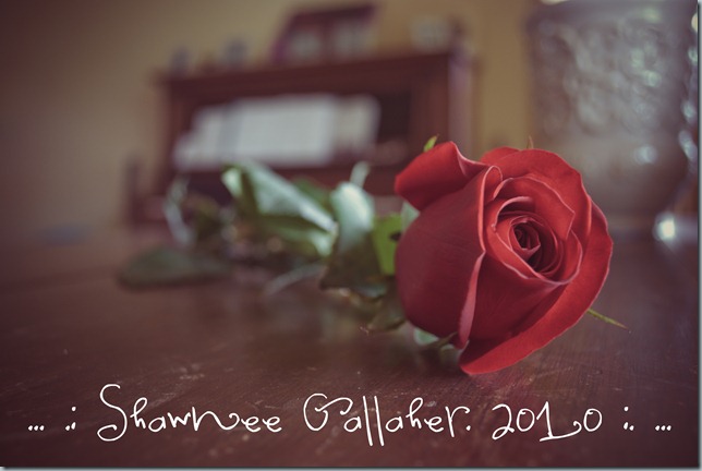 DSC_0015-2-8