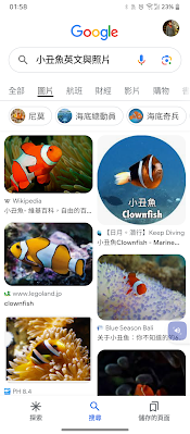 圖片