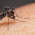 Bahia tem 13 municípios em epidemia de dengue, aponta levantamento do Sinan 