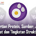 Pengertian Protein, Sumber, Jenis, Manfaat Dan Tingkatan Strukturnya