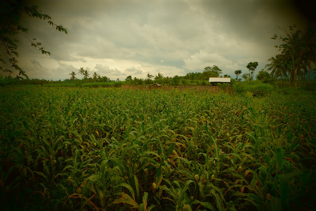 Embung Malangsuko