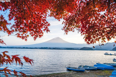 mount fuji