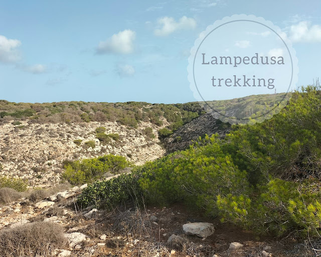 Lampedusa: sentieri trekking Riserva Naturale Orientata