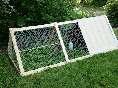 At the Butterfly Ball: Building an A Frame chicken "tractor" coop