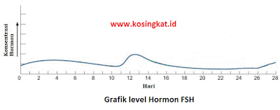 kunci jawaban uji kompetensi 1 ipa kelas 9 halaman 47 - 49 