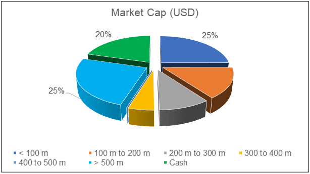Portfolio profile by market cap Revised