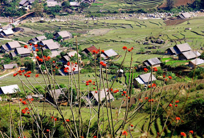 du lich sapa lao cai