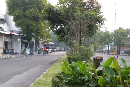 Lampu Hias Taman Embong Kembar tidak terurus, Proyek Ratusan Juta Dinas Lingkungan Hidup Lumajang Sia-sia