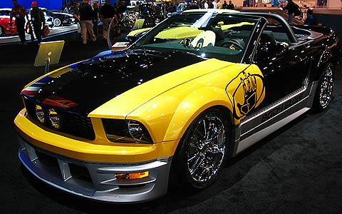 Ford Mustang Owners Association