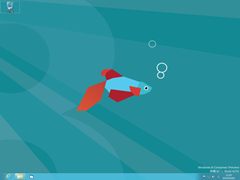 Win8Fish