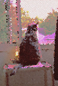 Picture of cat looking out a window, with mosaic effect