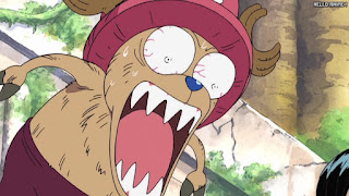 ワンピース アニメ 空島 スカイピア 159話 チョッパー Tony Tony Chopper | ONE PIECE Episode 159 Skypiea