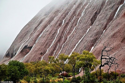 Uluru - Ayers Rock