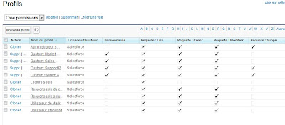 Vues de profils avancés dans Salesforce