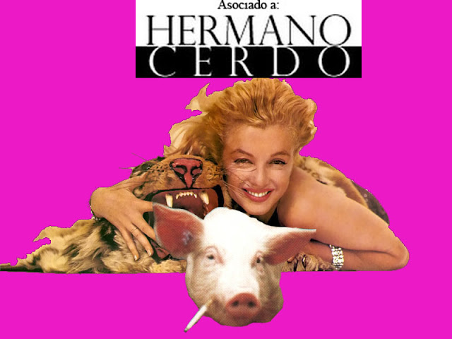 Hermano Cerdo, Marilyn y tiger- Collage por S-Bhor