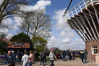 庫肯霍夫公園, Keukenhof, 荷蘭, holland, netherlands