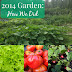 2014 Garden Report: How We Did