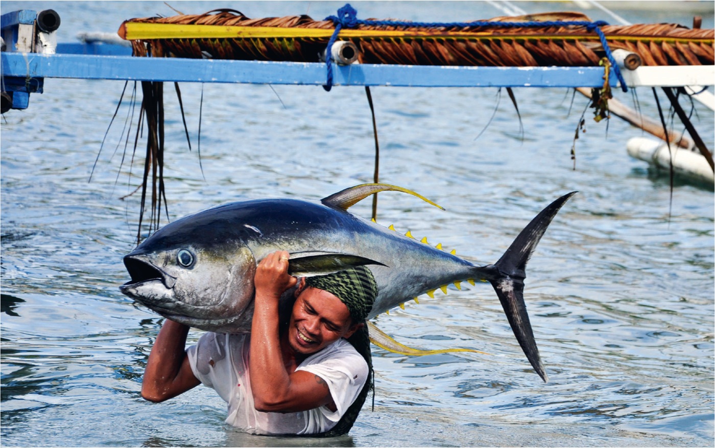 Philippine Tuna Fishing: 6 Important Things You Should Know About This 