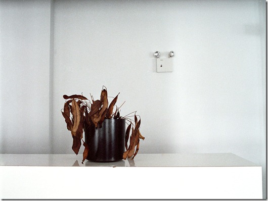 Set Falido Mr Toledano (8)