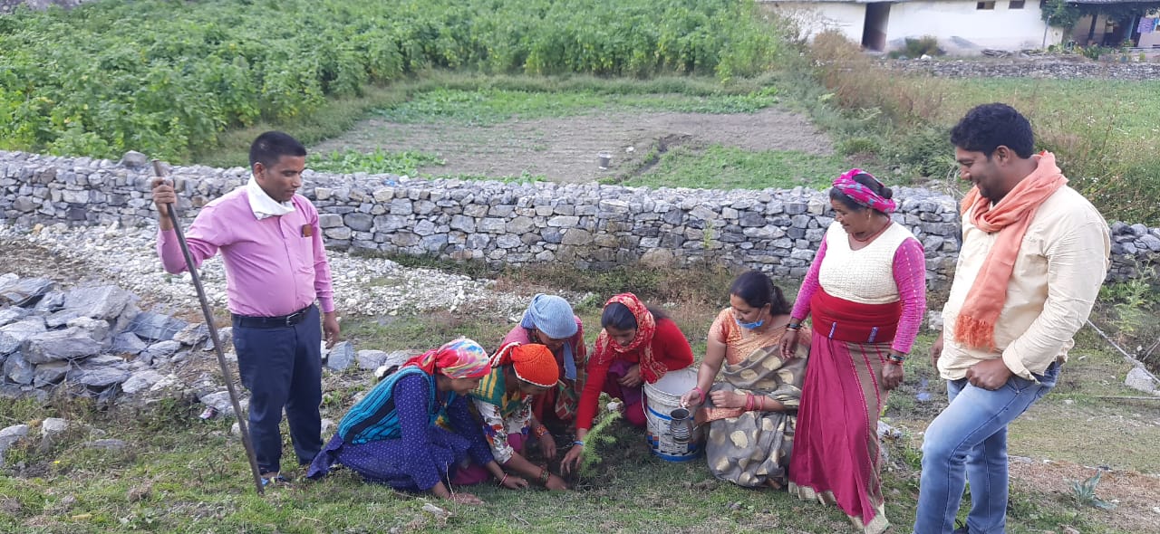 चित्र