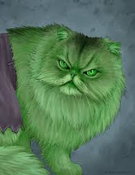 Foto Kucing Hulk