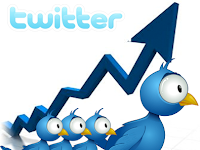 Cara Mendapatkan Ribuan Follower Twitter 2015