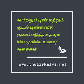 வயிற்றுப் புண் மற்றும் குடல் புண்ணைக் குணப்படுத்த உதவும் சில முக்கிய உணவு வகைகள்