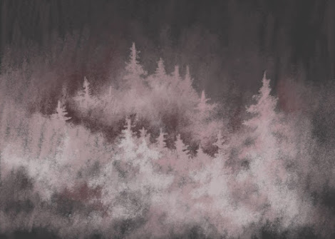 Misty spruce forest Wallpaper