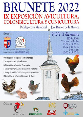 Exposicion de gallos, gallinas, palomas y conejos.