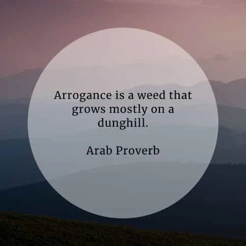 Arrogant quotes that will help broaden your perception