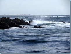 IMG_0076
