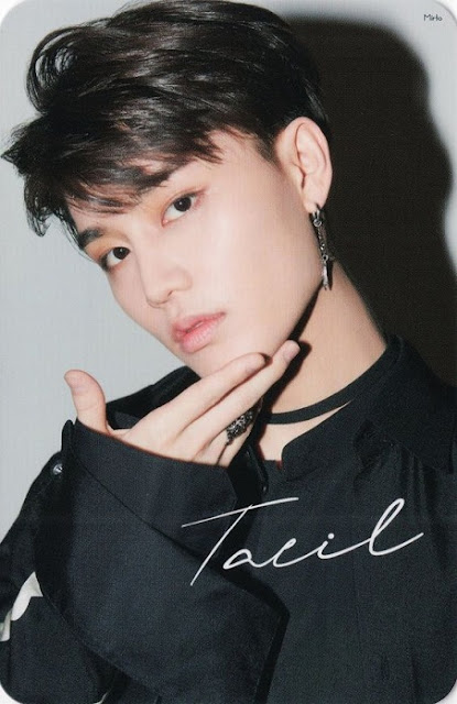 Profil dan 47 FAKTA Taeil NCT (Moon Tae Il )