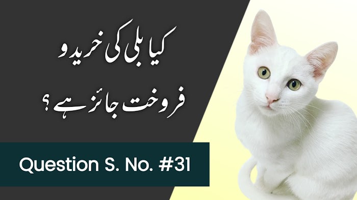 کیا بلی کی خرید و فروخت جائز ہے؟