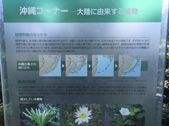 沖縄植物コーナーの看板