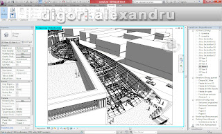 Digori Alexandru - revit 06