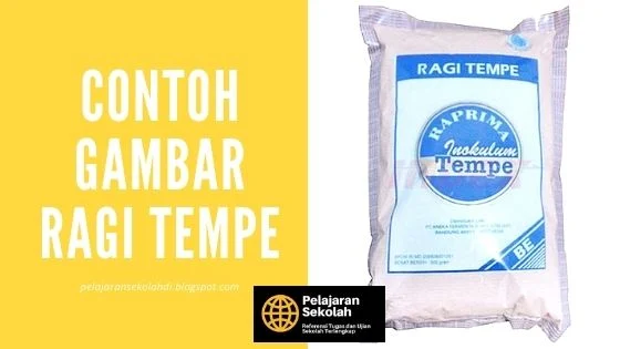 Gambar Ragi Tempe