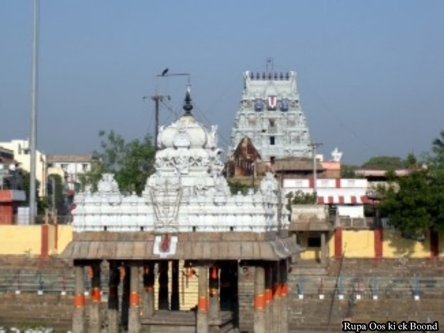 पार्थसारथी मंदिर, चेन्नई । Sri Parthasarathy Temple, Chennai